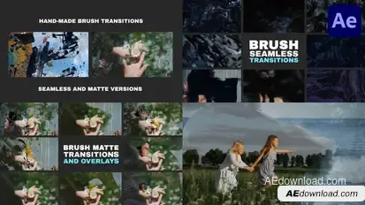 Hand-Made Brush Transitions And Overlays | After Effects Elements template preview
