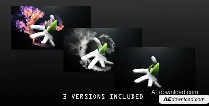 Hand Reveal Logo Stings template preview