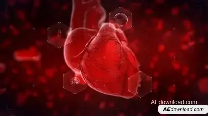 Heart Reveal Openers template preview