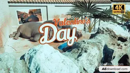 Hippo Valentines Day Openers template preview