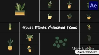 House Plants Animated Icons for After Effects Elements template preview