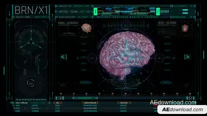 HUD Medical Brain Elements template preview