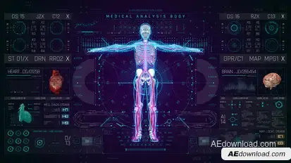 HUD PRO Medical Body Elements template preview