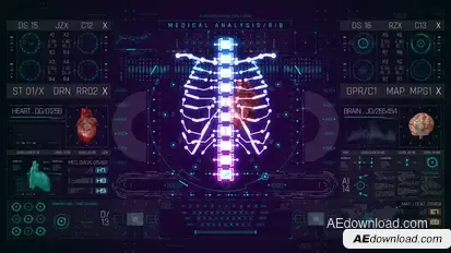 HUD PRO Medical Ribs Elements template preview