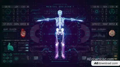 HUD PRO Medical Skeleton Elements template preview