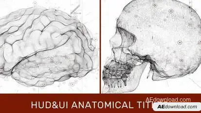 Videohive HUD UI Anatomical Titles Titles template preview