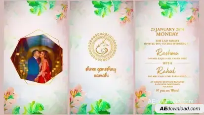 Videohive Indian Wedding Invitation 51128931 Openers template preview