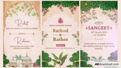 Videohive Indian Wedding Invitation | After Effect Templates Video Displays template preview
