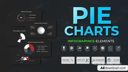Infographic - Pie Charts Infographics template preview