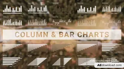 Column & Bar Charts Infographics template preview