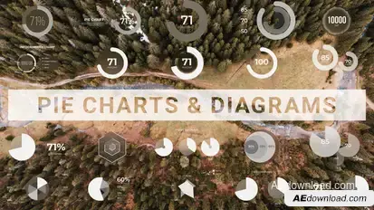 Pie Charts & Diagrams Infographics template preview
