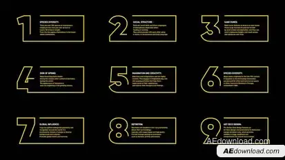 Infographics Boxes Infographics template preview