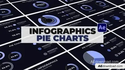 Infographics Pie Charts Infographics template preview