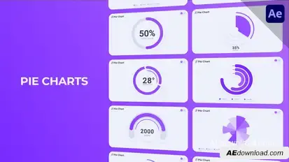 Infographics Pie Charts Infographics template preview