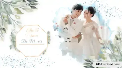 Ink Wedding Slideshow Video Displays template preview