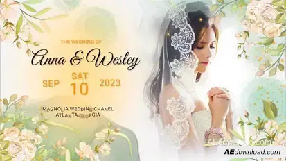 Ink Wedding Slideshow Video Displays template preview