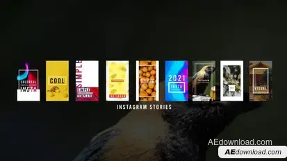 Instagram Stories Product Promo template preview