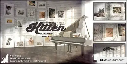 Art Gallery Loft Video Displays template preview
