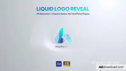 Logo Reveal Logo Stings template preview