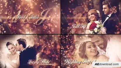 Lovely Wedding Slideshow Video Displays template preview