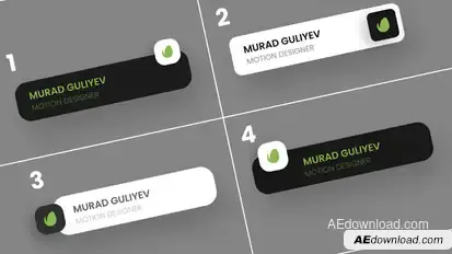 Lower Third Elements template preview