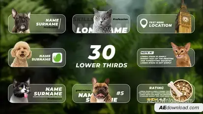 Lower Thirds with Photo or Video Elements template preview