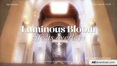 Luminous Bloom FX Overlays Pack for After Effects Elements template preview