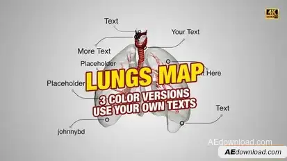 Lungs Map 4K Openers template preview