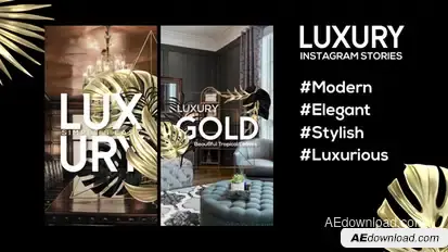 Luxury Instagram Stories Product Promo template preview