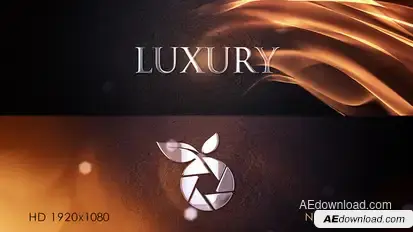 Luxury Logo Intro Logo Stings template preview