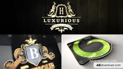Luxury Mockup Kit - Glossy Logo Intro Logo Stings template preview