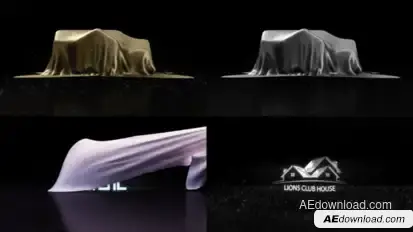 Luxury Real Estate Logo Reveal Logo Stings template preview