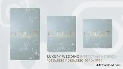 Luxury Wedding | Romantic Love Instagram Reel Video Displays template preview