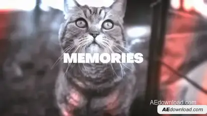 Memories Overlays Elements template preview