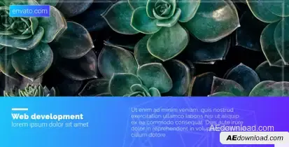 Minimal Presentation Video Displays template preview