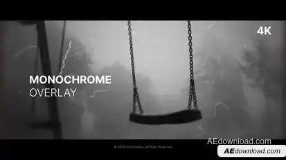 Monochrome Overlay Elements template preview