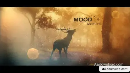 Mood Of Moments Parallax Opener Openers template preview