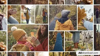 Mosaic Photo Collage Video Template Elements template preview