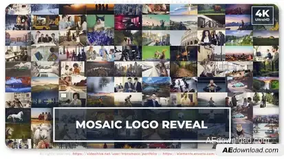 Mosaic Photo Logo Reveal Logo Stings template preview