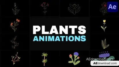 Nature Plants Kids Drawings Animation for After Effects Elements template preview