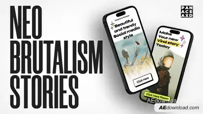 Neo Brutalism Stories Video Displays template preview