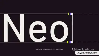 Neoform - Brandbook Promo Logo Stings template preview