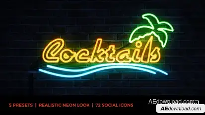 Neon Light Logo Stings template preview