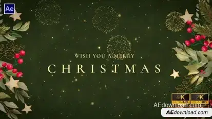 New Year Wishes | New Year Greetings V3 Openers template preview