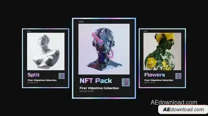 NFT Collection Promo Openers template preview