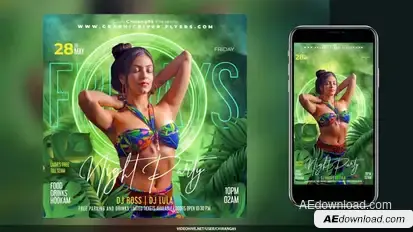 Night Club Flyer Stories v17 Openers template preview
