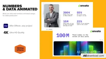 Numbers & Data Statistics Animated Video Displays template preview