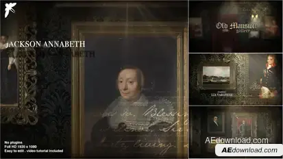 Old Mansion Gallery Video Displays template preview