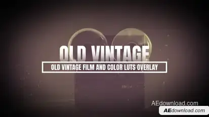 Old Vintage Film and Color Luts Overlay Elements template preview