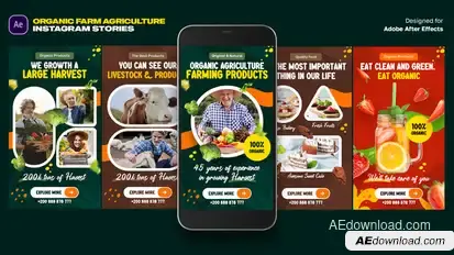Organic Food Instagram Stories Video Displays template preview